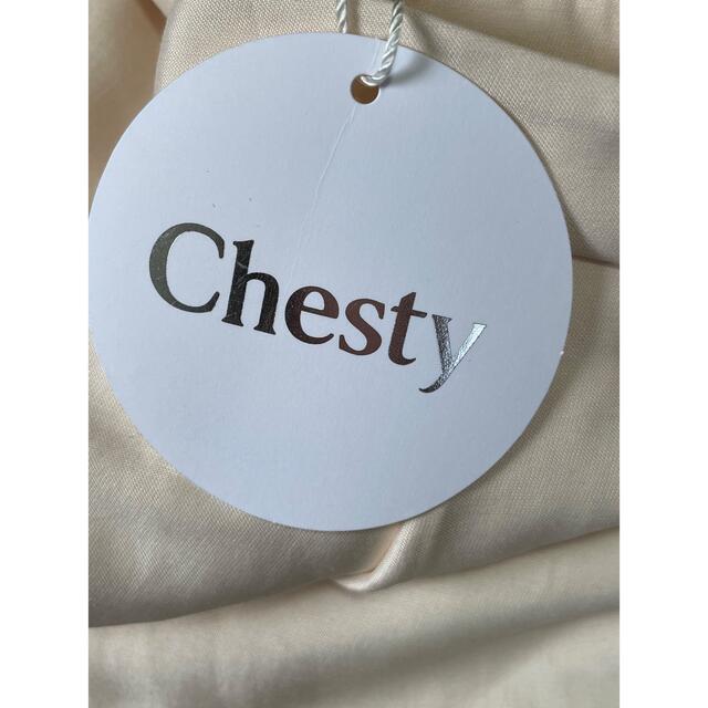 Chesty(チェスティ)の新品⭐︎chesty レディースのスカート(ロングスカート)の商品写真