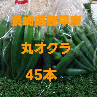 長崎県諫早産 丸オクラ 45本(野菜)