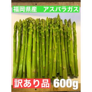 福岡県産アスパラガス（訳あり品） 600g(野菜)