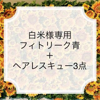 タマリス(Tamaris)のタマリス　フィトリーク　青　ヘアトリートメント　髪&肌用保湿ローション(トリートメント)