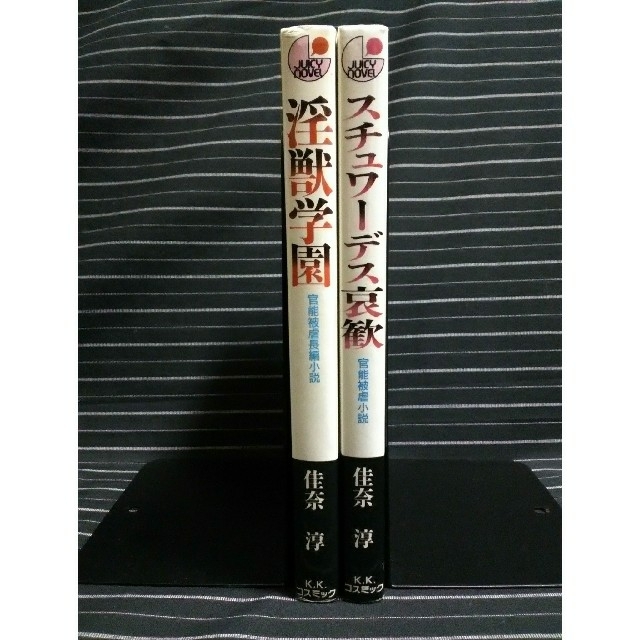 絶版 入手困難 新書 初版 佳奈淳 2冊 官能小説 フランス書院文庫 ② - 本