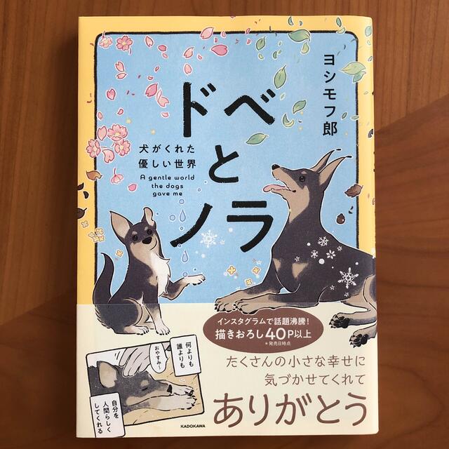 ドベとノラ　犬がくれた優しい世界 エンタメ/ホビーの漫画(その他)の商品写真