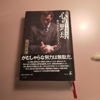 心の野球 超効率的努力のススメ(その他)