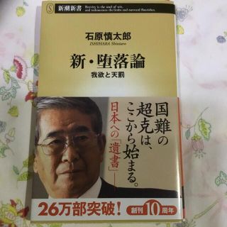 新・堕落論 我欲と天罰(その他)