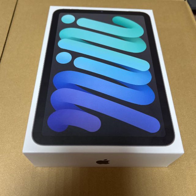 経典 6 mini 【新品未使用】iPad - Apple Wi-Fi スペースグレイ 64GB タブレット