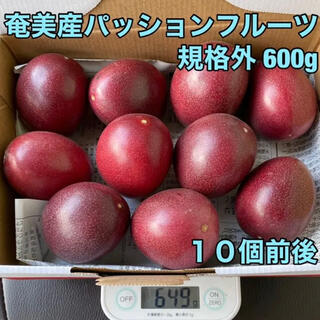 奄美産パッションフルーツ規格外600グラム(フルーツ)