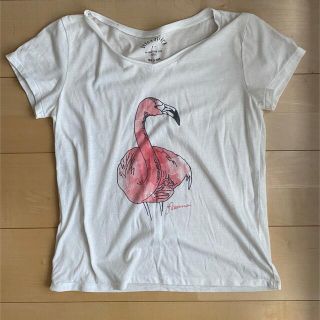 アーバンリサーチ(URBAN RESEARCH)の☆アーバンリサーチ  トロピカルTシャツ☆(Tシャツ(半袖/袖なし))