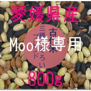 Moo様専用　古代米3種ふぞろいブレンド　愛媛県産　800ｇ(米/穀物)