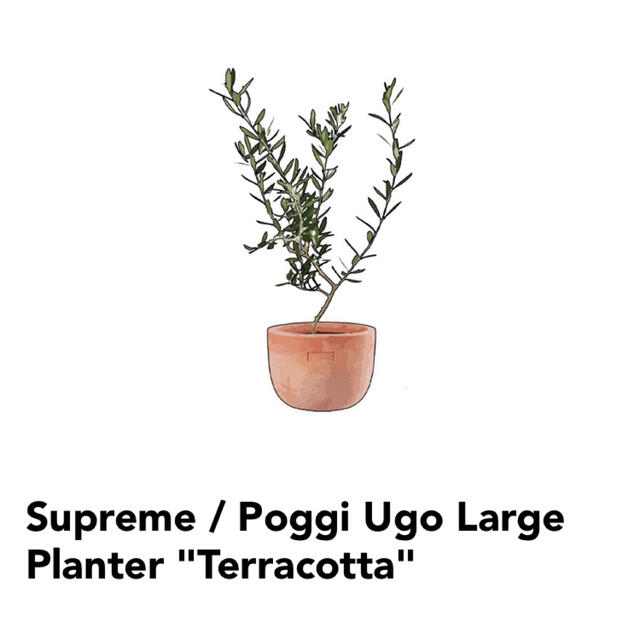 Supreme / Poggi Ugo Large Planter