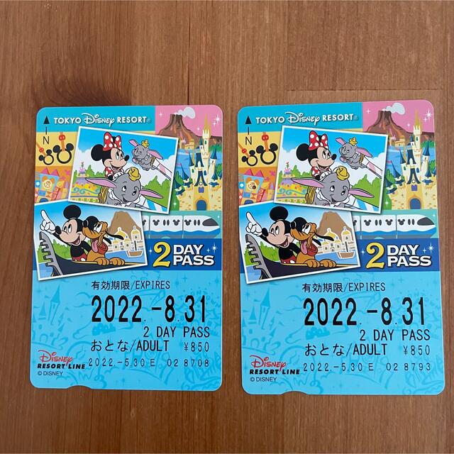 Disney(ディズニー)のディズニーリゾートライン　2day PASS 1枚 チケットの施設利用券(遊園地/テーマパーク)の商品写真