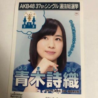 エスケーイーフォーティーエイト(SKE48)の青木詩織　生写真  ラブラドールレトリバー(アイドルグッズ)