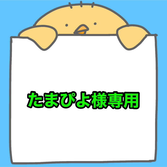 在庫あり/即出荷可】 ぴよ様 専用♡ kead.al