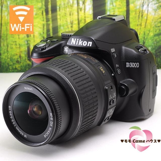 CCDセンサー搭載カメラNikon D3000♪スマホ転送OK＆色彩鮮やかな一眼レフ☆2913