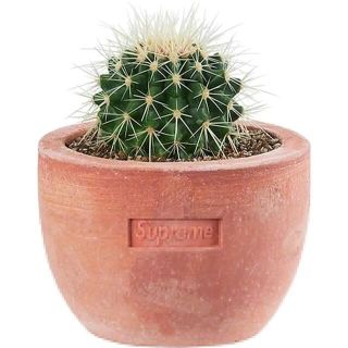 シュプリーム(Supreme)のSupreme / Poggi Ugo small Planter(プランター)