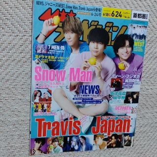 週刊ザテレビジョン　6/24号(アート/エンタメ/ホビー)