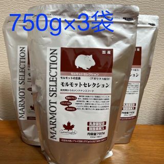 【即日発送】モルモットセレクション　750g （250g×3） ×3袋(小動物)