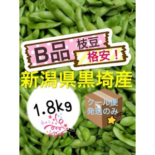 2 枝豆　【3日発送】【B品1.8kg】新潟県黒埼産　えだまめ(野菜)