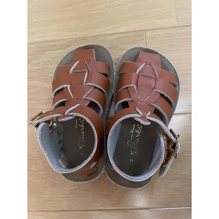 コドモビームス(こども ビームス)のSALTWATER sandal SHARK TAN ソルトウォーター　サンダル(サンダル)