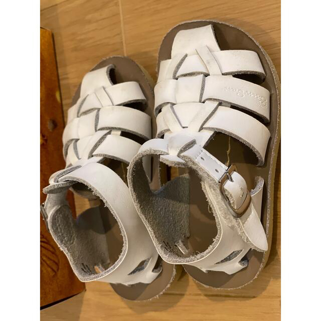 こども ビームス(コドモビームス)のSALTWATER Sandal Shark WHITE サンダル キッズ/ベビー/マタニティのベビー靴/シューズ(~14cm)(サンダル)の商品写真