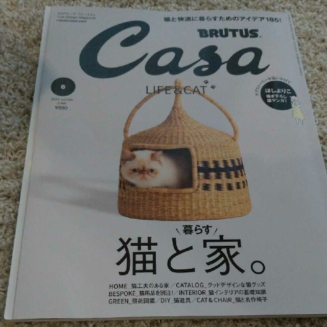 マガジンハウス(マガジンハウス)のCasa BRUTUS (カーサ・ブルータス) 2022年 06月号 エンタメ/ホビーの雑誌(生活/健康)の商品写真