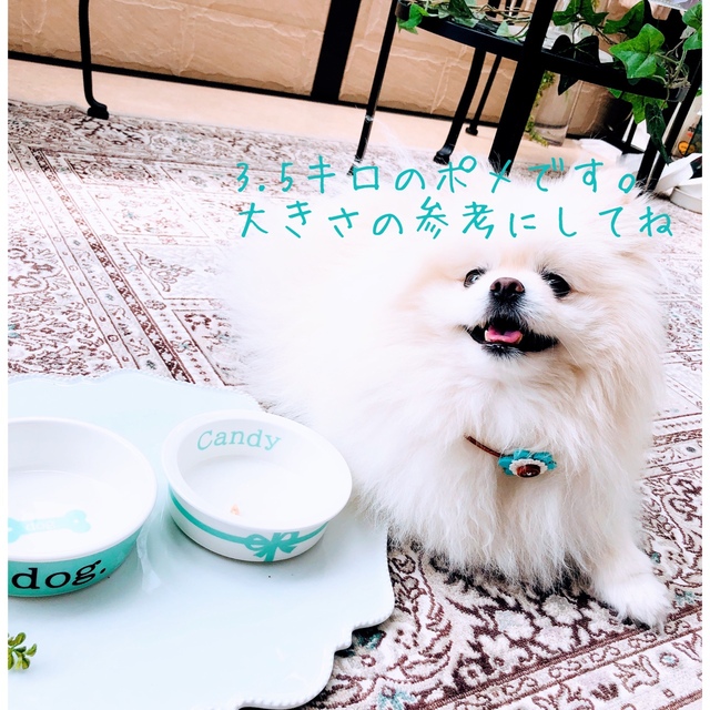 ko-chan専用です♡フードボウル　犬、猫　ポーセラーツ   プレゼント　名前 その他のペット用品(犬)の商品写真