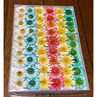 17＊銀の紫陽花が作った可愛いマーガレットのドライフラワー(ドライフラワー)