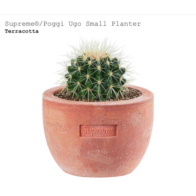 Supreme(シュプリーム)のSupreme Poggi Ugo Small Planter ハンドメイドのフラワー/ガーデン(プランター)の商品写真