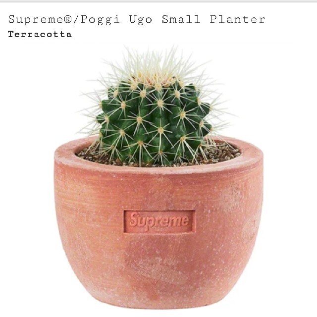 Supreme / Poggi Ugo Small Planter "Terra