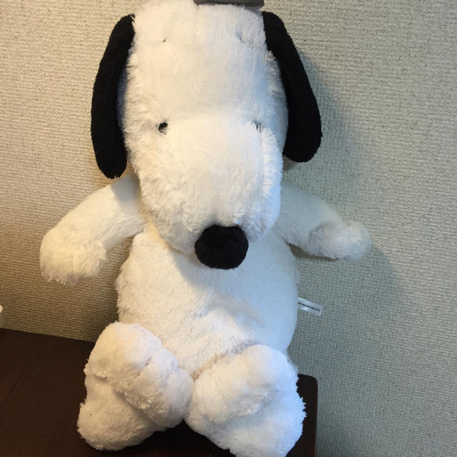 Snoopy スヌーピー ぬいぐるみ 湯たんぽ カイロの通販 By まいまい 天然石 ファッション スヌーピーならラクマ