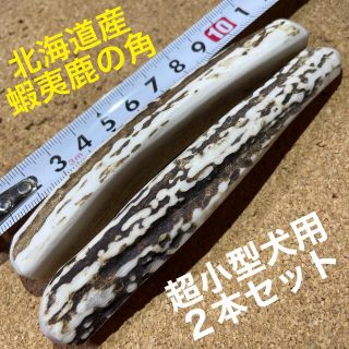 鹿の角　犬のおもちゃ　北海道産　　　　　　　　　　　　　　超小型犬用　2本セット(犬)