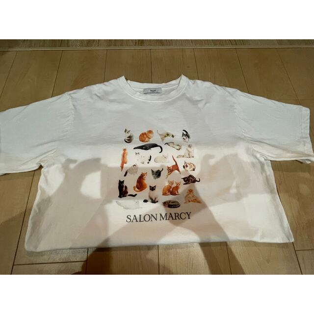 Discoat(ディスコート)のdiscoat♡ネコTシャツ メンズのトップス(Tシャツ/カットソー(半袖/袖なし))の商品写真