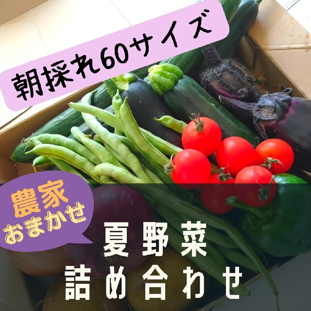 農家の朝採れ！夏野菜詰め合わせ 60サイズ 食品/飲料/酒の食品(野菜)の商品写真