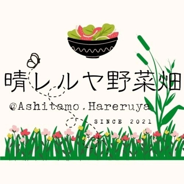 農家の朝採れ！夏野菜詰め合わせ 60サイズ 食品/飲料/酒の食品(野菜)の商品写真