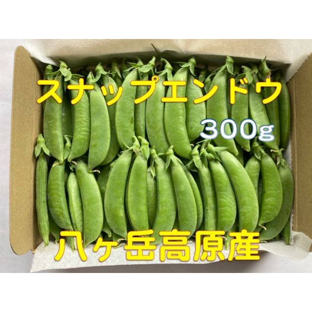 スナップエンドウ　300g以上　八ヶ岳高原産 食品/飲料/酒の食品(野菜)の商品写真