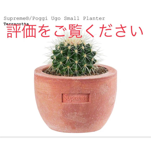 Supreme®/Poggi Ugo Small Planters プランター