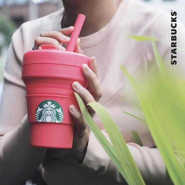 Starbucks Coffee(スターバックスコーヒー)のピンク Starbucks stojo スターバックス ストージョ タンブラー インテリア/住まい/日用品のキッチン/食器(タンブラー)の商品写真