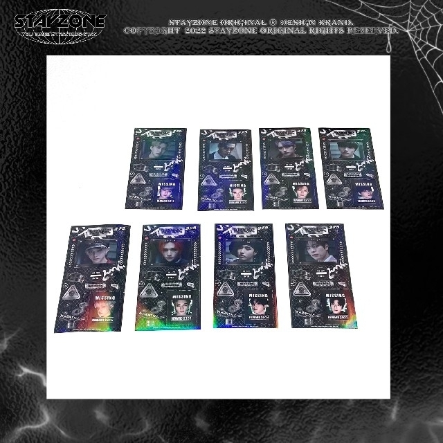 Stray Kids - Straykids スキズ コレクトブック トレカケース Black
