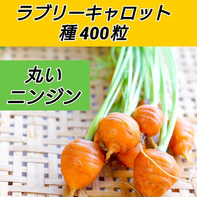 丸人参 ラブリーキャロット 種400粒【固定種】 食品/飲料/酒の食品(野菜)の商品写真