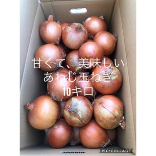 淡路島玉ねぎ10キロ秀品(野菜)