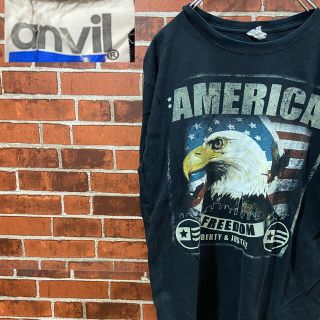 アンビル(Anvil)のanvil FREEDOM 古着Tシャツ タカ アメリカ アニマルTシャツ(Tシャツ/カットソー(半袖/袖なし))