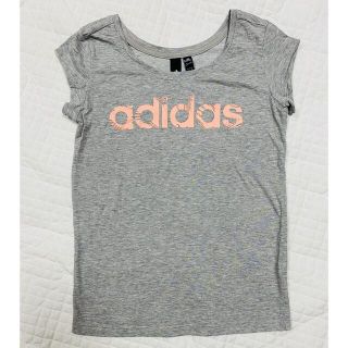アディダス(adidas)の美品レディースadidas Tシャツ(Tシャツ(半袖/袖なし))