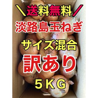 淡路島玉ねぎ 玉葱 タマネギ 5キロ 5kg 訳あり(野菜)