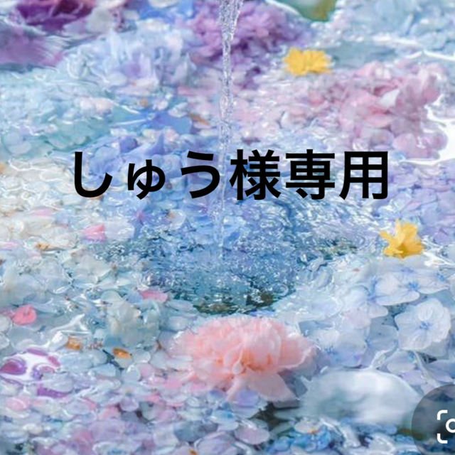 ♡しゅう様専用♡ ハンドメイドのフラワー/ガーデン(プランター)の商品写真