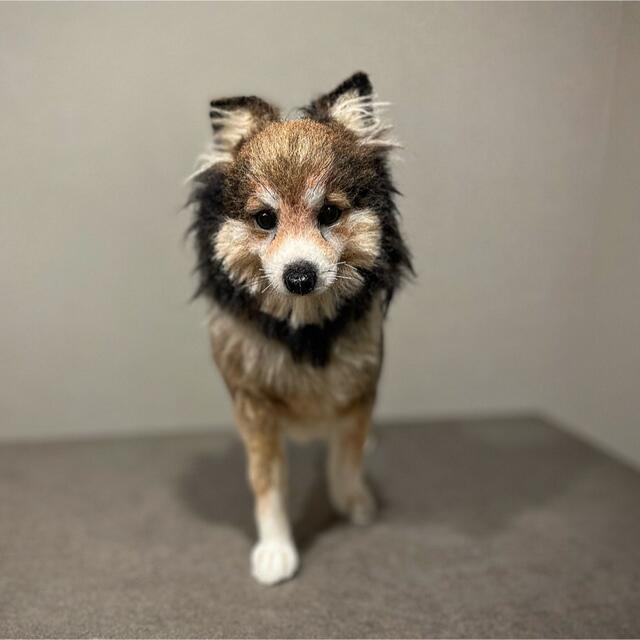 羊毛フェルト　ハンドメイド　川上犬　mix犬　確認参考画面