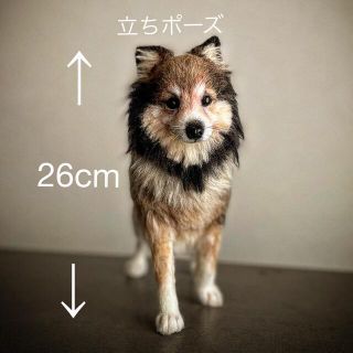 羊毛フェルト　ハンドメイド　川上犬　mix犬　確認参考画面