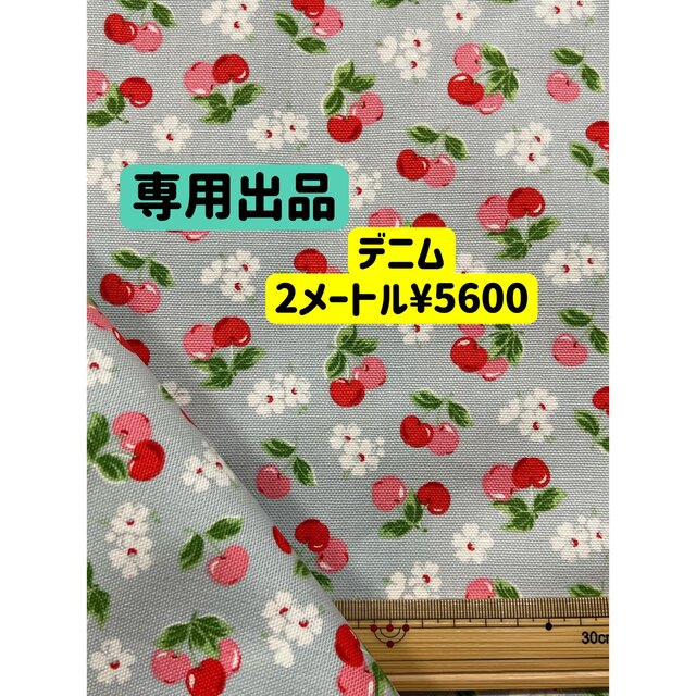 パステルオリーブ キャスキッドソンデニム生地(お得2枚パック