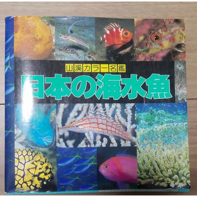 日本の海水魚 エンタメ/ホビーの本(科学/技術)の商品写真