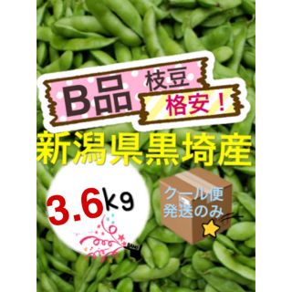 6 枝豆【ルネ様贈り物】【B品3.6kg】新潟県黒埼産(野菜)