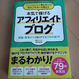 本気で稼げるアフィリエイトブログ(その他)