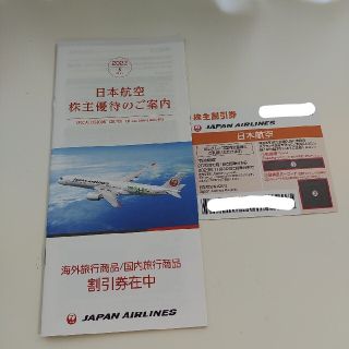 日本航空  株主優待券 1枚(その他)